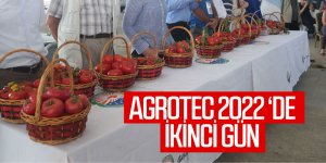 Gölbaşı'nda düzenlenen AGROTEC 2022 25. uluslararası tarım fuarı'nın ikinci gününde  en iyi elma en iyi domates yetiştiriciliği yarışmaları düzenlendi