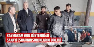 Kaymakam Rüstemoğlu, Sanayi Esnafını Ziyaret Etti