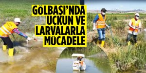 Gölbaşı Belediyesi'nden uçkun ve larva ilaçlaması