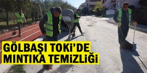 GÖLBAŞI TOKİ’DE MINTIKA TEMİZLİĞİ