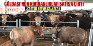 Gölbaşı'nda kurbanlıklar görücüye çıktı