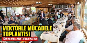 Vektörle mücadele toplantısı