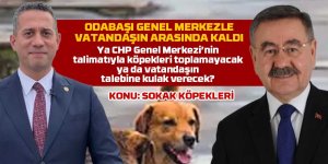 Odabaşı sokak köpekleri konusunda CHP ile vatandaşın arasında kaldı