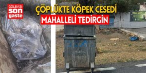 Gölbaşı Günalan Mahallesi’nde Köpek Cesedi Bulundu: Mahalle Sakinleri Tepkili