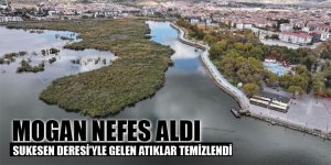 MOGAN GÖLÜ NEFES ALDI, DOĞA CANLANDI