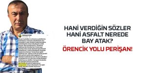 Örencik Yolu Yıllardır Bekliyor: Direkler Kalktı, Asfalt ve Aydınlatma Hâlâ Yok