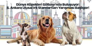 Dünya Köpekleri Gölbaşı’nda Buluşuyor: 5. Ankara Ulusal Irk Standartları Yarışması Başlıyor!