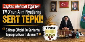Başkan Mehmet Yiğit’ten TMO’nun Alım Fiyatlarına Sert Tepki: "Gölbaşı Çiftçisi Bu Şartlarda Toprağına Nasıl Tutunsun?"