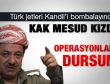 Mesud Barzani'den Kandil operasyonu tepkisi