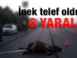 Muş'ta otomobil ineğe çarptı: 6 yaralı
