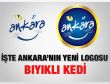 Ankara'nın yeni logosu belli oldu: Bıyıklı kedi