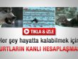 Kurtların sır dolu dünyaları - İzle