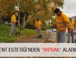 KENT ESTETİĞİ’NDEN “YAPRAK” ALARMI
