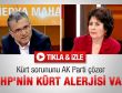 Ruşen Çakır: CHP tabanının Kürt alerjisi var