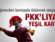 Yeşil kartlı terörist