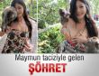 Maymunların taciziyle meşhur oldu