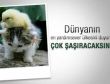 En yardımsever ülke araştırması şaşırttı