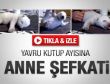 Bir aylık kutup ayısına anne şefkati - Video