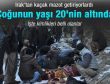 Uludere'de ölenlerin kimlikleri belli oldu