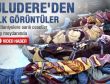 Uludere'de cesetler ailelerin feryatlarıyla karşılandı