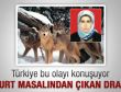 Kurt masalından çıkan dram