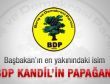 Başbakan'ın başdanışmanı: BDP Kandil'in papağanı