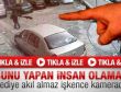 Kediye yapılan işkence kamerada - Video