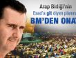 BM'den Suriye planına onay