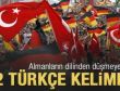 Alman gençlerin en fazla kullandığı Türkçe sözcükler