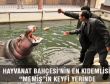 HAYVANAT BAHÇESİ’NİN EN KIDEMLİSİ “MEMİŞ”İN KEYFİ YERİNDE