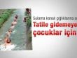 Urfa'da sulama kanalı faciasına havuzlu önlem