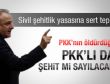 Oktay Vural: PKK'lı da şehit mi sayılacak