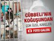 Cübbeli'nin Metris'ten ilk kareleri - Foto galeri
