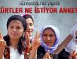 Güneydoğu'da yapılan Kürtler ne istiyor anketi