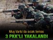 Varto'da çatışma: 3 PKK'lı yakalandı