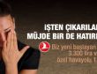 THY'den işten çıkarılanlara müjde