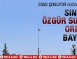 Sınıra Özgür Suriye Ordusu bayrağı çektiler