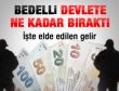 Bedelliden devletin kasasına ne kadar girdi